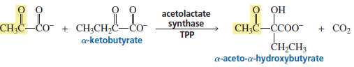 Acetolactate synthase can also transfer the two-carbon fragment from pyruvate