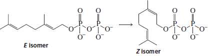 Propose a mechanism for the conversion of the E isomer