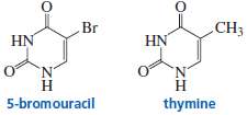5-Bromouracil, a highly mutagenic compound, is used in cancer chemotherapy.