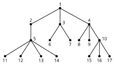 Consider the following algorithm where the input is a rooted