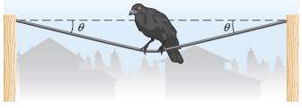 A crow perches on a clothesline midway between two poles.
