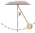 A pendulum is 0.800 m long and the bob has