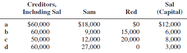 The assets and equities of the Sam, Red, and Sal