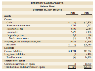 Incomplete and adapted versions of the financial statements of Horseshoe