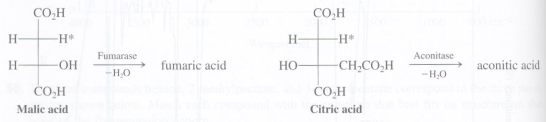 The citric acid cycle is a series of biological reactions