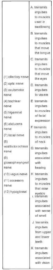 Match the cranial nerve with its function(s). Functions may be