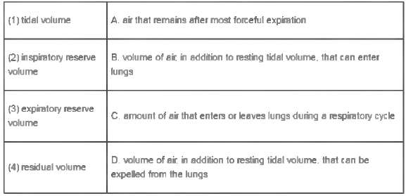Match the air volumes with their descriptions: