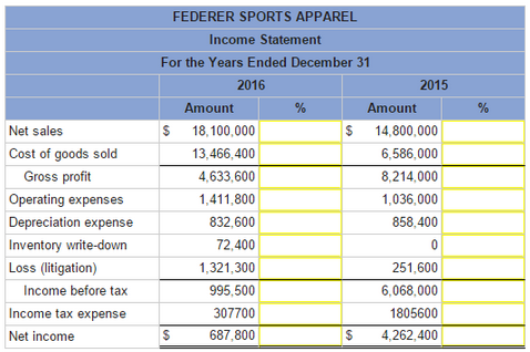 The income statement for Federer Sports Apparel for 2016 and