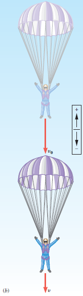 A skydiver is falling straight down, along the negative y
