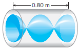 A longitudinal standing wave is established in a tube that