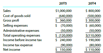 Income statement data for Yellowstone Images Inc. for the years
