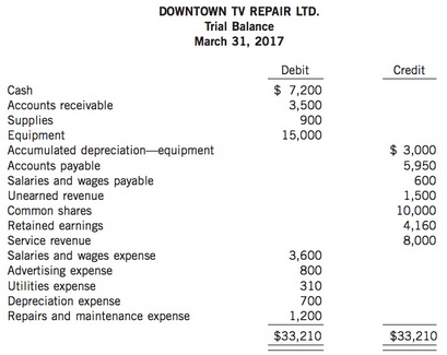 Mona Kamaka, CPA, was retained by Downtown TV Repair Ltd.