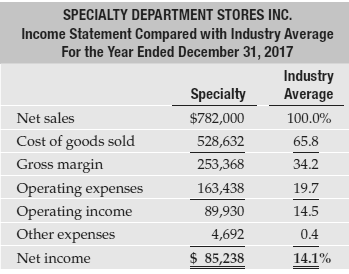 The Specialty Department Stores, Inc. chief executive officer (CEO) has