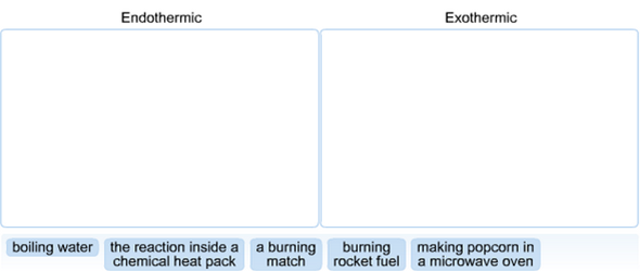 Sort the following reactions as either endothermic or exothermic.