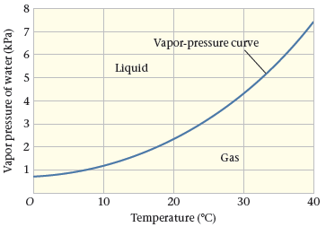 Vapor-pressure curve Liquid 4 Gas 10 20 30 40 Temperature (°C) 3. 2. Vapor pressure of water (kPa) 