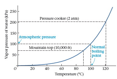 250 Pressure cooker (2 atm) 200 150 Atmospheric pressure 100 Normal į boiling i point Mountain top (10,000 ft) 50 20 40