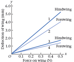 6.0- Hindwing 5.0 1/ Forewing 4.0- 3.0 2.0- Hindwing 3 1.0 Forewing 0.1 0.2 0.3 0.4 0.5 Force on wing (N) Deflection of 