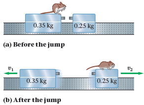 A 0.042-kg pet lab mouse sits on a 0.35-kg air-track