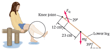 Fa Knee joint- 29° 12 cmx -Lower leg 23 cm mg 39 