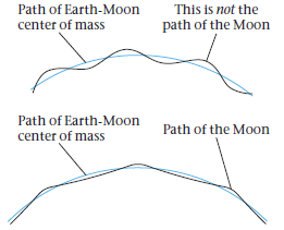 This is not the path of the Moon Path of Earth-Moon center of mass Path of Earth-Moon Path of the Moon center of mass 