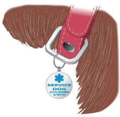 A service dog tag (FIGURE 13-40) is a circular disk