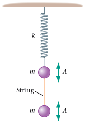 A mass m is connected to the bottom of a