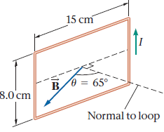 15 cm B/0 = 65° 8.0cm Normal to loop 