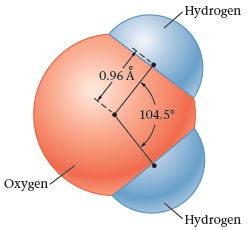 Hydrogen 0.96 Å 104.5° Охудen Hydrogen 