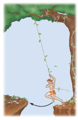 Tarzan plans to cross a gorge by swinging in an