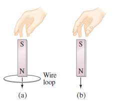 Wire loop (a) (b) 