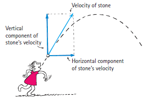Velocity of stone Vertical component of stone's velocity Horizontal component of stone's velocity 
