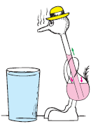 Why can the drinking bird in Figure 17.4 in Chapter