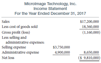 Microlmage Technology, Inc. Income Statement For the Year Ended December 31, 2017 Sales $17,200,000 Less cost of goods s