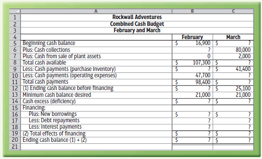 Rockwall Adventures Comblned Cash Budget February and March February 16,900 $ March 5 Beginning cash balance 80,000 2,00