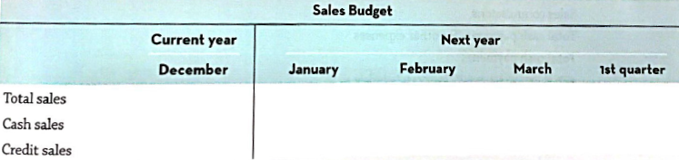 Sales Budget Next year Current year December March 1st quarter January February Total sales Cash sales Credit sales 