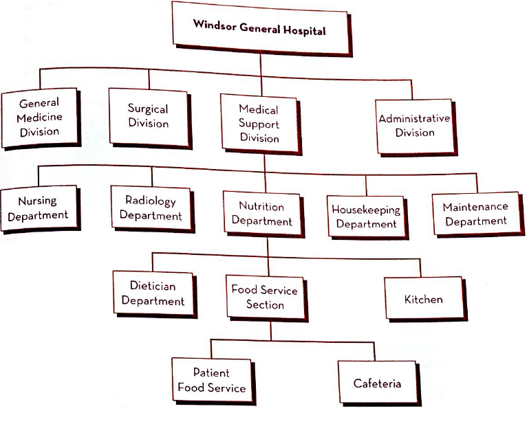 Windsor General Hospital General Medicine Surgical Division Medical Support Division Administrative Division Division Ra
