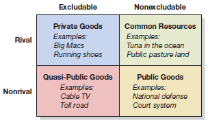 Nonexcludable Excludable Private Goods Common Resources Eхamples: Examples: Big Macs Running shoes Rival Tuna in the oc