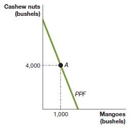 Cashew nuts (bushels) 4,000 PPF Mangoes (bushels) 1,000 