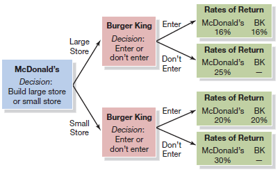 Rates of Return McDonald's BK Burger King Enter 16% 16% Decision: Large Store Enter or Rates of Return don't enter Don't