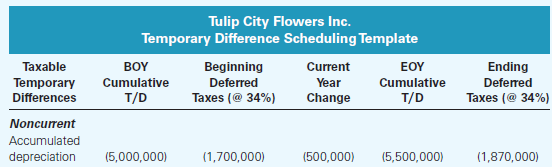 Tulip City Flowers Inc. Temporary Difference Scheduling Template Beginning Ending Taxable Temporary Differences BOY EOY 