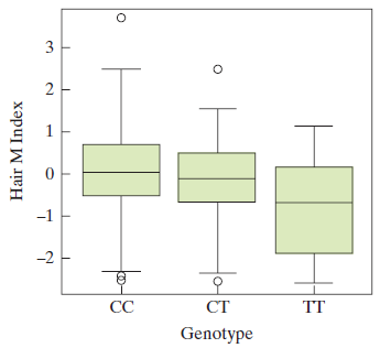 3 -1 -2 오 CT CC TT Genotype Hair M Index 2. 