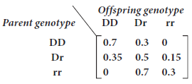 Offspring genotype DD Parent genotype Dr rr DD 0.7 0.3 0 Dr 0.35 0.5 0.15 0.7 0.3 rr 