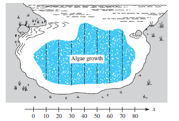 M. Algae growth 10 20 30 40 50 60 70 80 