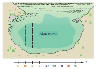 Algae growth h. 10 20 30 40 50 60 70 80 