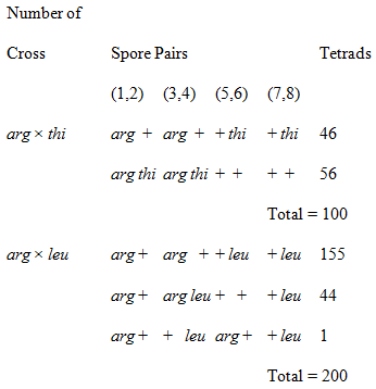 Number of Spore Pairs Cross Tetrads (1,2) (3,4) (5,6) (7,8) arg x thi arg + arg + + thi + thi 46 arg thi arg thi ++ 56 +