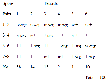 Tetrads Spore Pairs 1 5 6 2 3 4 1-2 w arg warg warg warg w+ 3-4 + arg ++ w arg w+ 5-6 + arg +arg w arg ++ + arg ++ 7-8 +