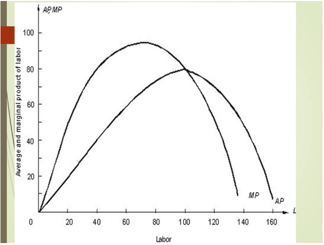 The following graph shows the marginal and average product curves