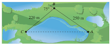 1. To approximate the length of a marsh, a surveyor