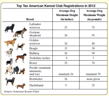 Top Ten American Kennel Club Registrations in 2012 Average Dog Maximum Height Average Dog Maximum Weight Breed (in inche