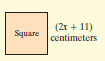 (2r + 11) Square centimeters 